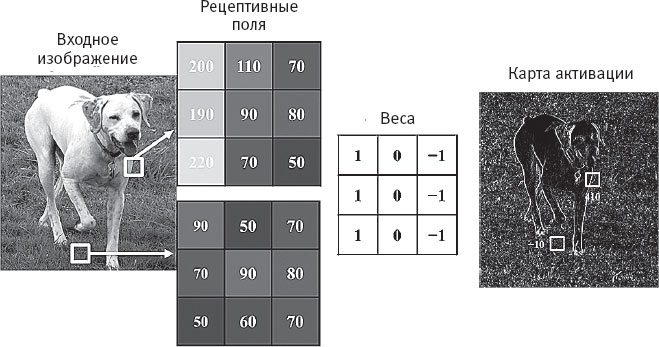 Иллюстрация к книге — Идиот или гений? Как работает и на что способен искусственный интеллект [i_013.jpg]