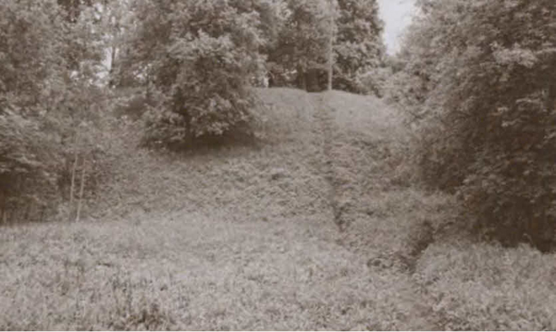 Иллюстрация к книге — Полководцы Московского царства [i_017.jpg]