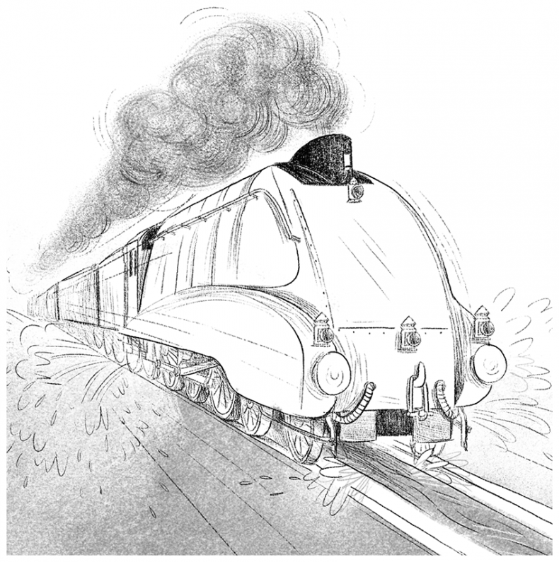 Иллюстрация к книге — Ограбление в «Шотландском соколе» [i_002.jpg]