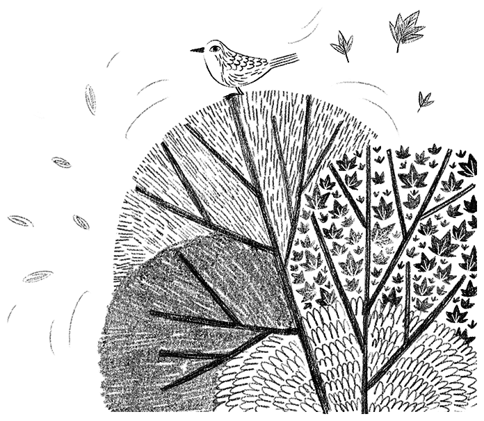 Иллюстрация к книге — Ограбление в «Шотландском соколе» [i_028.jpg]