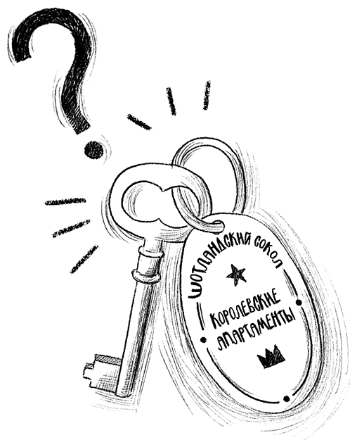 Иллюстрация к книге — Ограбление в «Шотландском соколе» [i_049.jpg]