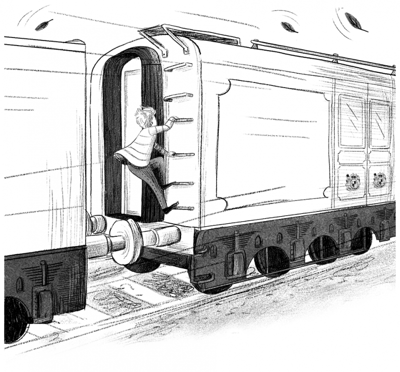 Иллюстрация к книге — Ограбление в «Шотландском соколе» [i_060.jpg]