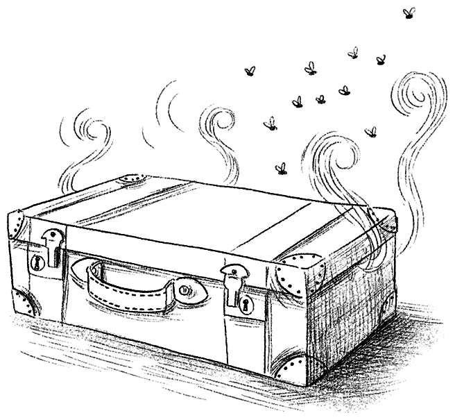 Иллюстрация к книге — Ограбление в «Шотландском соколе» [i_061.jpg]