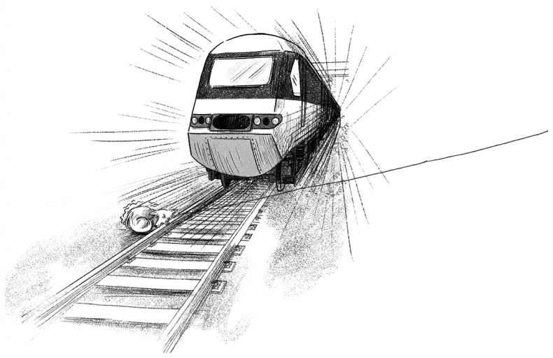 Иллюстрация к книге — Ограбление в «Шотландском соколе» [i_064.jpg]