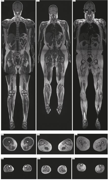 Иллюстрация к книге — Пять литров красного. Что необходимо знать о крови, ее болезнях и лечении [i_058.jpg]