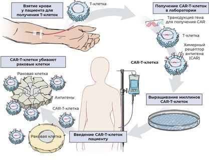 Иллюстрация к книге — Пять литров красного. Что необходимо знать о крови, ее болезнях и лечении [i_158.jpg]