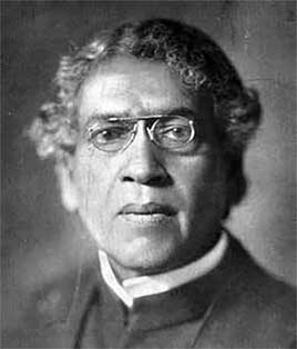 Иллюстрация к книге — Мир под напряжением. История электричества: опасности для здоровья, о которых мы ничего не знали [i_008.jpg]