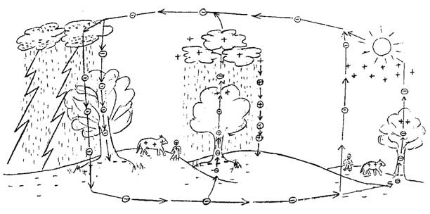 Иллюстрация к книге — Мир под напряжением. История электричества: опасности для здоровья, о которых мы ничего не знали [i_014.jpg]