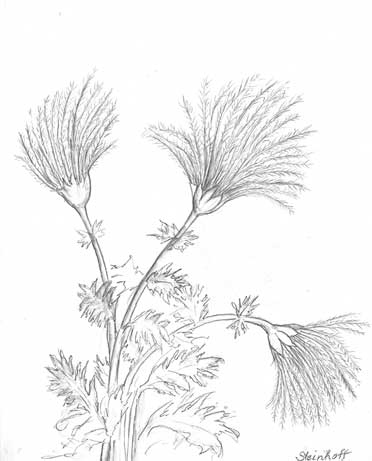 Иллюстрация к книге — Мир под напряжением. История электричества: опасности для здоровья, о которых мы ничего не знали [i_016.jpg]