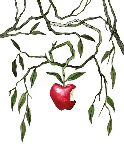 Иллюстрация к книге — Чудовища и красавицы. Опасные сказки [i_010.jpg]