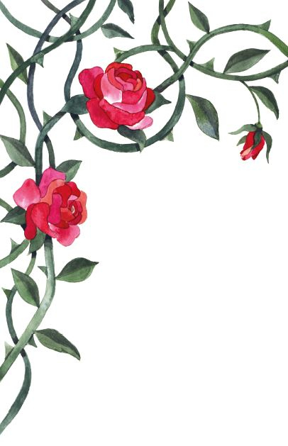 Иллюстрация к книге — Чудовища и красавицы. Опасные сказки [i_023.jpg]