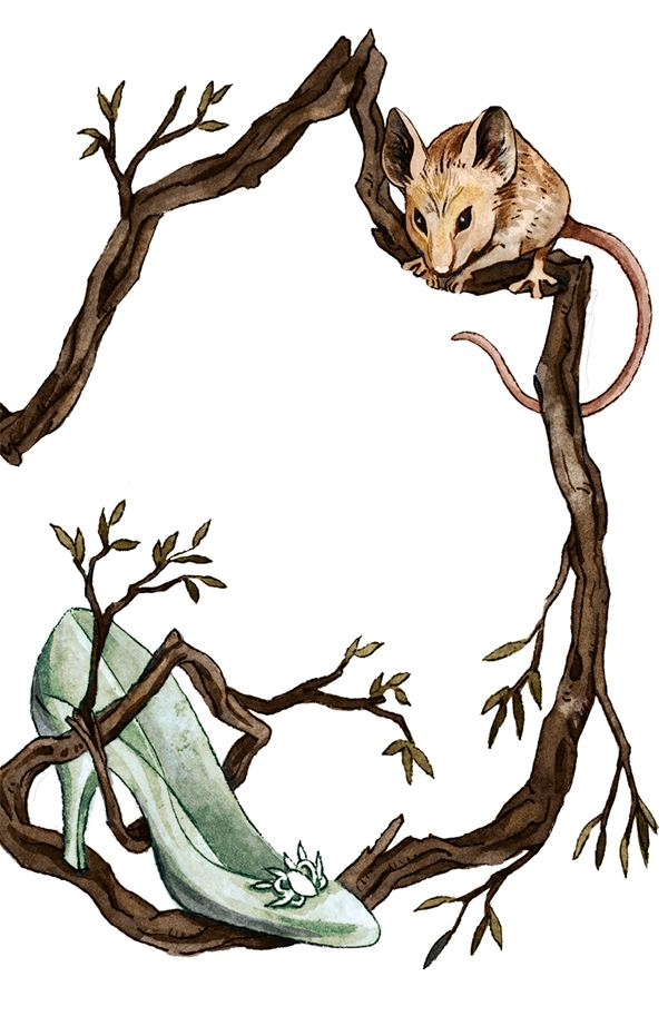 Иллюстрация к книге — Чудовища и красавицы. Опасные сказки [i_076.jpg]