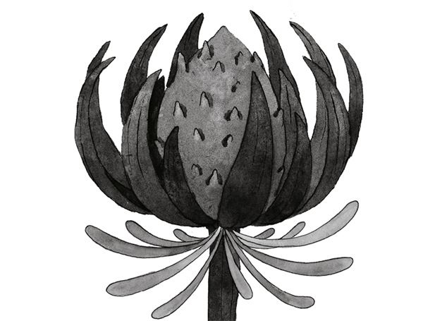 Иллюстрация к книге — Чудовища и красавицы. Опасные сказки [i_103.jpg]