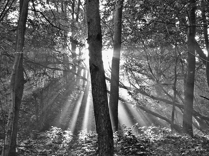 Иллюстрация к книге — Убийство Уильяма Норвичского. Происхождение кровавого навета в средневековой Европе [b00000105.jpg]