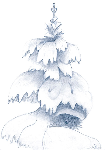 Иллюстрация к книге — Зима: Секреты выживания растений и животных в самое суровое время года [i_020.jpg]