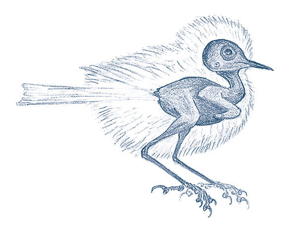 Иллюстрация к книге — Зима: Секреты выживания растений и животных в самое суровое время года [i_024.jpg]