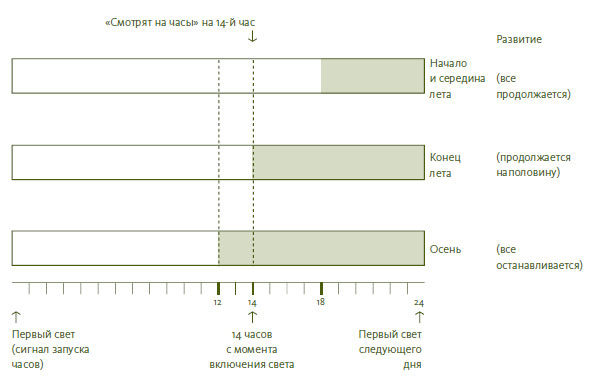 Иллюстрация к книге — Лето: Секреты выживания растений и животных в сезон изобилия [i_005.jpg]