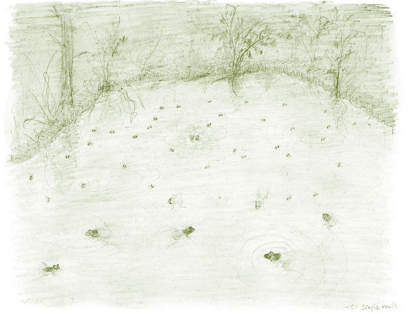 Иллюстрация к книге — Лето: Секреты выживания растений и животных в сезон изобилия [i_010.jpg]