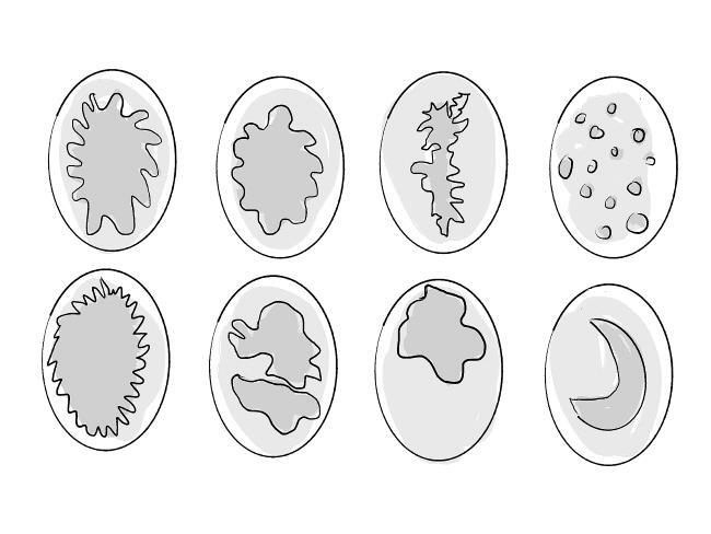 Иллюстрация к книге — Уютный секс. Просто и легко о прекрасной части нашей жизни [i_005.jpg]