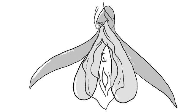 Иллюстрация к книге — Уютный секс. Просто и легко о прекрасной части нашей жизни [i_010.jpg]