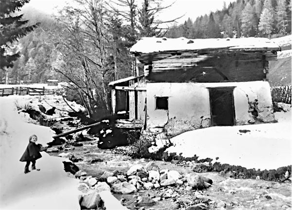 Иллюстрация к книге — Утраченное кафе «У Шиндлеров». История Холокоста и судьба одной австро-венгерской семьи [i_001.jpg]