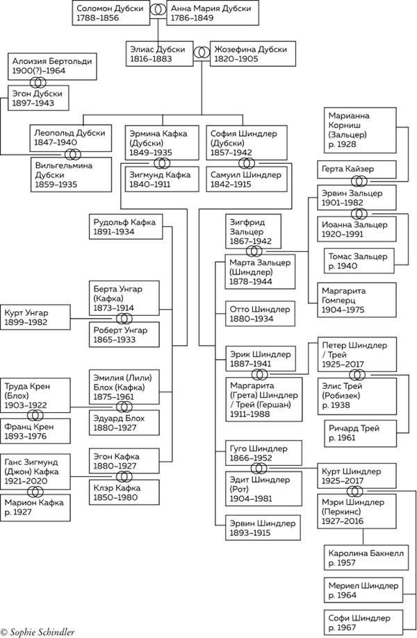 Иллюстрация к книге — Утраченное кафе «У Шиндлеров». История Холокоста и судьба одной австро-венгерской семьи [i_003.jpg]