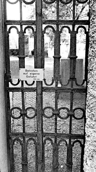 Иллюстрация к книге — Утраченное кафе «У Шиндлеров». История Холокоста и судьба одной австро-венгерской семьи [i_008.jpg]