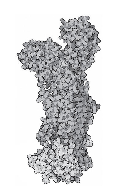 Иллюстрация к книге — Кодекс долголетия. Что заставляет нас стареть, зачем это нужно и как «обмануть» эволюцию: пошаговое руководство [i_004.jpg]