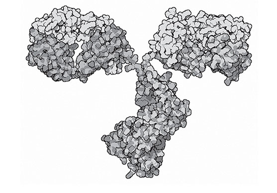 Иллюстрация к книге — Кодекс долголетия. Что заставляет нас стареть, зачем это нужно и как «обмануть» эволюцию: пошаговое руководство [i_005.jpg]