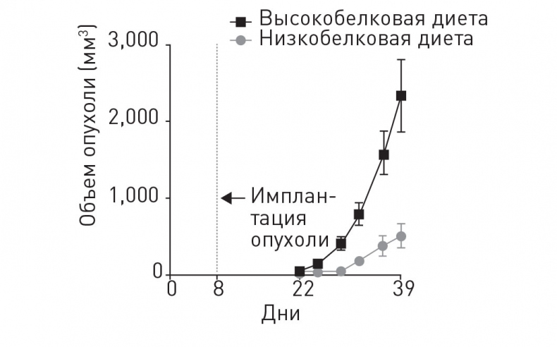 Иллюстрация к книге — Кодекс долголетия. Что заставляет нас стареть, зачем это нужно и как «обмануть» эволюцию: пошаговое руководство [i_008.jpg]