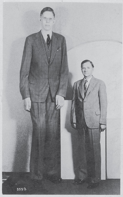 Иллюстрация к книге — Кодекс долголетия. Что заставляет нас стареть, зачем это нужно и как «обмануть» эволюцию: пошаговое руководство [i_009.jpg]