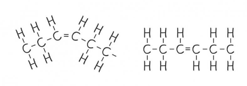 Иллюстрация к книге — Кодекс долголетия. Что заставляет нас стареть, зачем это нужно и как «обмануть» эволюцию: пошаговое руководство [i_013.jpg]