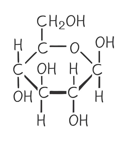 Иллюстрация к книге — Кодекс долголетия. Что заставляет нас стареть, зачем это нужно и как «обмануть» эволюцию: пошаговое руководство [i_038.jpg]