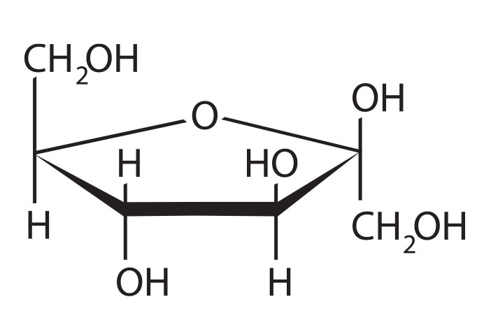 Иллюстрация к книге — Кодекс долголетия. Что заставляет нас стареть, зачем это нужно и как «обмануть» эволюцию: пошаговое руководство [i_039.jpg]
