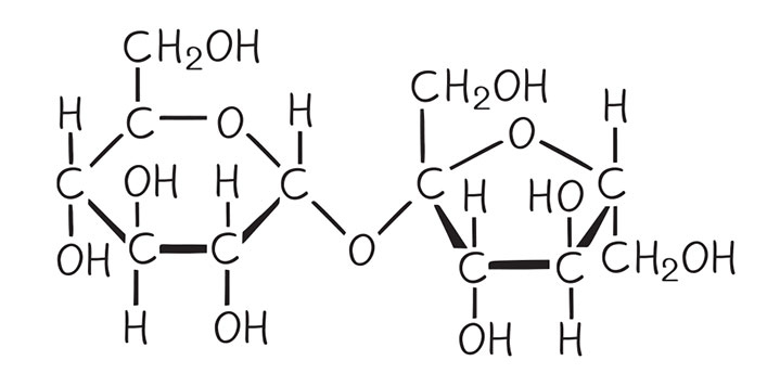 Иллюстрация к книге — Кодекс долголетия. Что заставляет нас стареть, зачем это нужно и как «обмануть» эволюцию: пошаговое руководство [i_040.jpg]