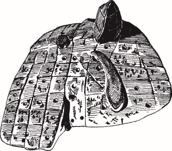 Иллюстрация к книге — Повседневная жизнь Вавилона и Ассирии. Быт, религия, культура [i_027.jpg]