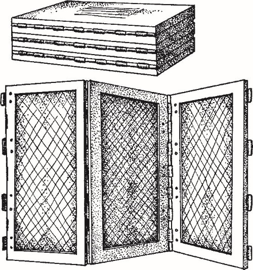 Иллюстрация к книге — Повседневная жизнь Вавилона и Ассирии. Быт, религия, культура [i_034.jpg]