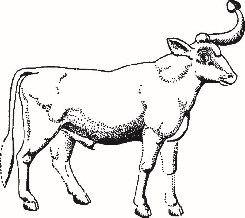 Иллюстрация к книге — Повседневная жизнь Вавилона и Ассирии. Быт, религия, культура [i_075.jpg]