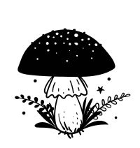 Иллюстрация к книге — Эти ведьмы не горят [i_009.jpg]