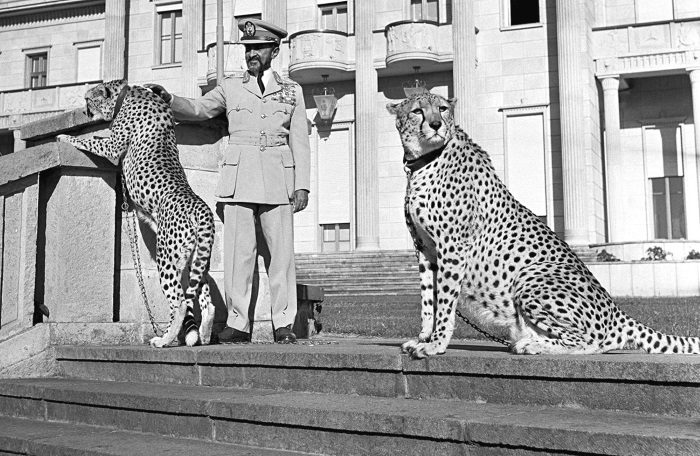 Иллюстрация к книге — Эфиопская цивилизация [i_061.jpg]