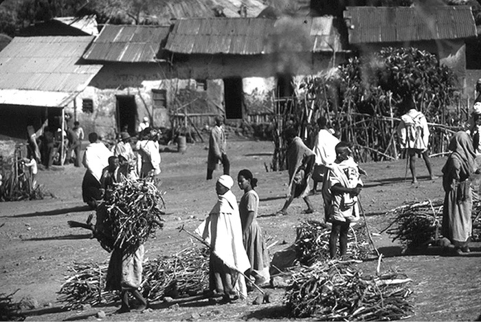 Иллюстрация к книге — Эфиопская цивилизация [i_075.jpg]