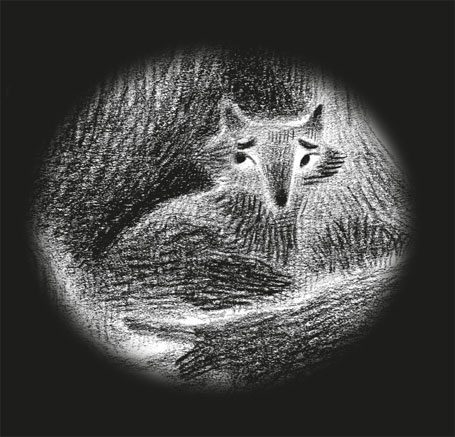 Иллюстрация к книге — Большой город [i_001.jpg]