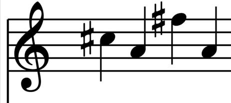 Иллюстрация к книге — Путешествие за смертью. Книга 1. Могильщик из Таллина [i_002.jpg]