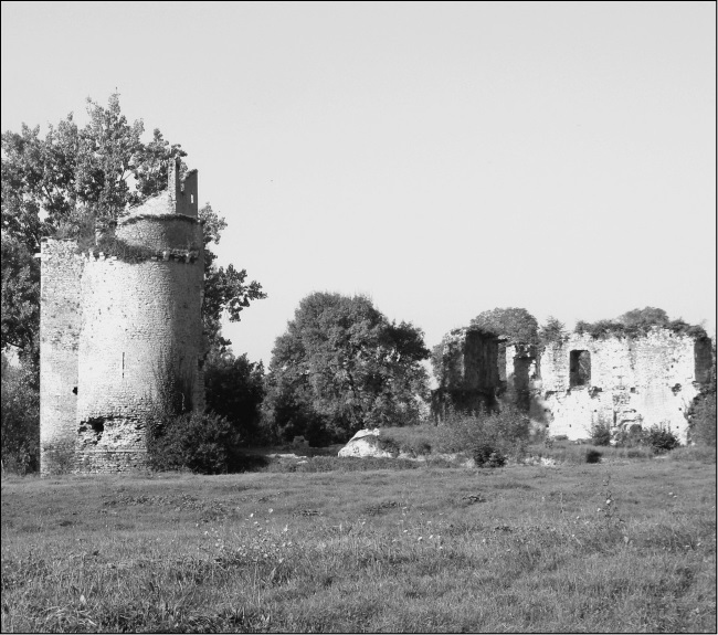 Иллюстрация к книге — Соратник Орлеанской девы. Триумф и трагедия Жиля де Рэ [i_005.jpg]