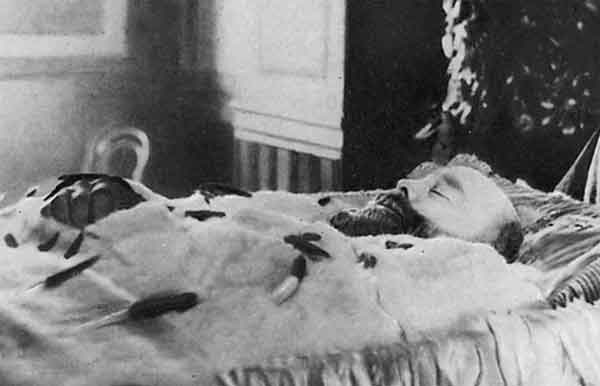 Иллюстрация к книге — Три самодержца. Дневники генеральши Богданович [_14.jpg]