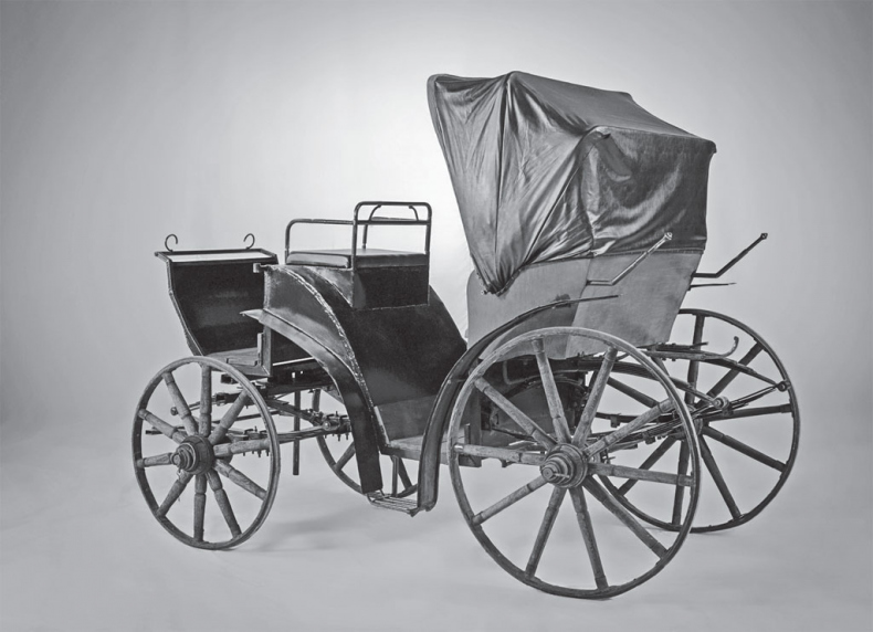 Иллюстрация к книге — Русский Зорро, или Подлинная история благородного разбойника Владимира Дубровского [i_021.jpg]