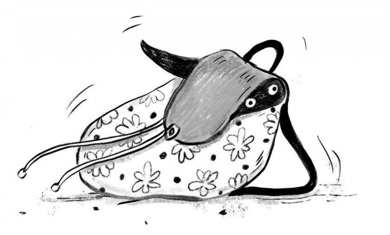 Иллюстрация к книге — Джек Дэш и летняя вьюга [i_006.jpg]