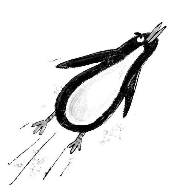 Иллюстрация к книге — Джек Дэш и летняя вьюга [i_045.jpg]