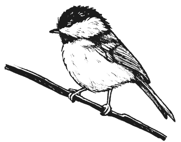 Иллюстрация к книге — Мы из Дачкино. Советы без занудства для новых дачников [i_003.jpg]