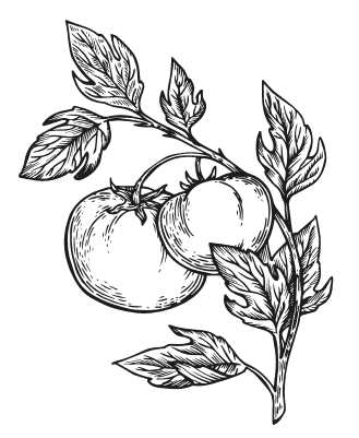 Иллюстрация к книге — Мы из Дачкино. Советы без занудства для новых дачников [i_005.jpg]